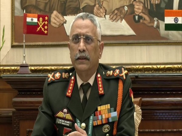 On the western front, there is an increase in the concentration of terrorists: Army chief Gen Naravane