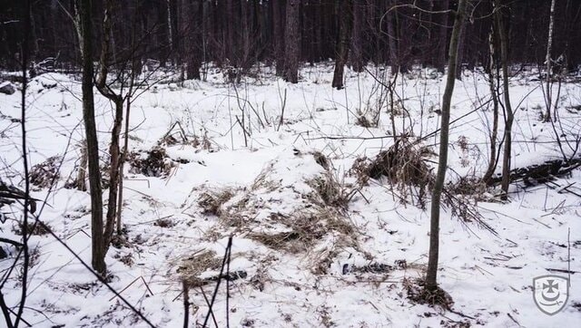 Ukrainian National Guard shares pictures of snipers hiding in plain sight, asks users to locate