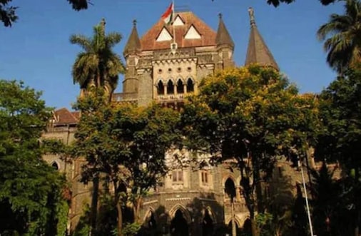 Bombay HC in Case of Swiggy Agent Accidentally Killing Canine