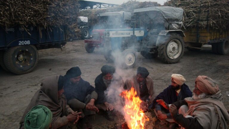 No Respite from Cold Wave in Punjab, Haryana; Narnaul Coldest at 2.2°C