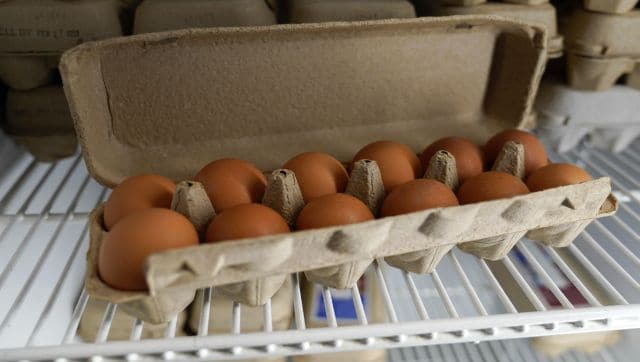 Why the cost of eggs has doubled in the US