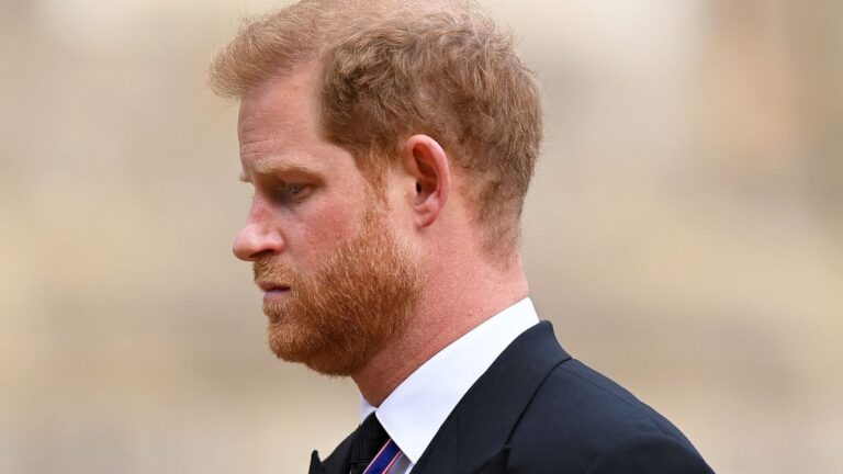 Taliban Official Criticises Prince Harry over Afghan Killings