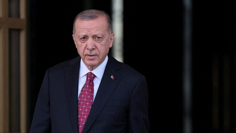Erdogan Offers to Mediate Between Russia and Ukraine in Call with Zelenskiy