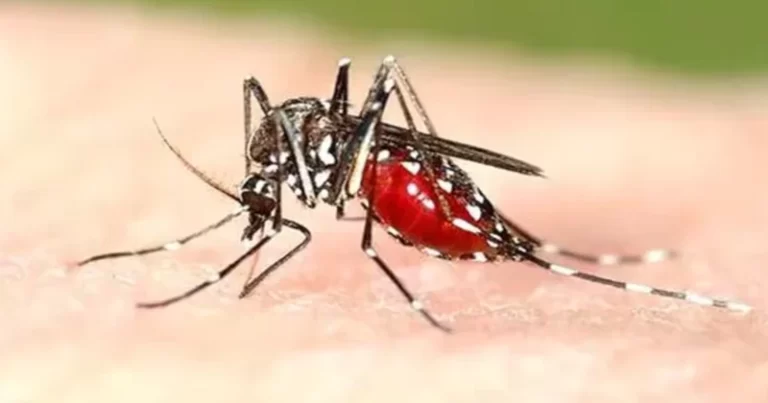 Over 100 people of Morena village infected with Dengue, CMHO dispatches medical teams