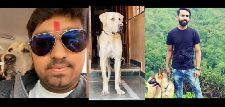 Why the dog trainers strangled liquor businessman Nikhil Jaiswal’s bully dog ‘Sultan’?